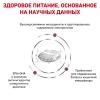 Royal Canin Gastrointestinal Hairball (кошкам при нарушениях пищеварения, вызванного наличием волосяных комочков) Royal Canin Gastrointestinal Hairball (кошкам при нарушениях пищеварения, вызванного наличием волосяных комочков)