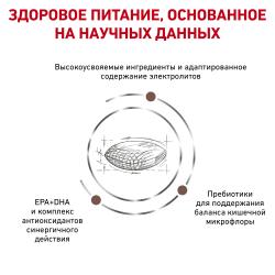 Royal Canin Gastrointestinal Hairball (кошкам при нарушениях пищеварения, вызванного наличием волосяных комочков) Royal Canin Gastrointestinal Hairball (кошкам при нарушениях пищеварения, вызванного наличием волосяных комочков)