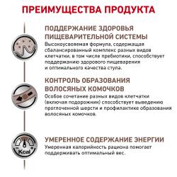 Royal Canin Gastrointestinal Hairball (кошкам при нарушениях пищеварения, вызванного наличием волосяных комочков) Royal Canin Gastrointestinal Hairball (кошкам при нарушениях пищеварения, вызванного наличием волосяных комочков)