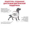 Royal Canin Gastrointestinal (для собак при нарушении пищеварения) Royal Canin Gastrointestinal (для собак при нарушении пищеварения)