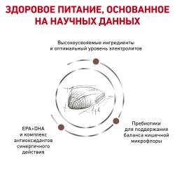 Royal Canin Gastrointestinal (для кошек при нарушениях пищеварения)