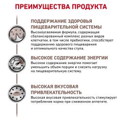 Royal Canin Gastrointestinal (для кошек при нарушениях пищеварения)