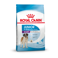 Royal Canin Giant Junior  (для щенков крупных пород с 8 до 18/24 месяцев) Royal Canin Giant Junior  (для щенков крупных пород с 8 до 18/24 месяцев)