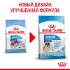 Royal Canin Giant Junior  (для щенков крупных пород с 8 до 18/24 месяцев) Royal Canin Giant Junior  (для щенков крупных пород с 8 до 18/24 месяцев)