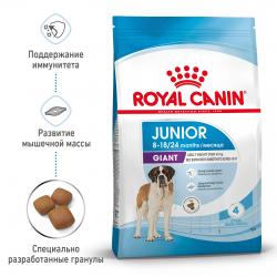 Royal Canin Giant Junior  (для щенков крупных пород с 8 до 18/24 месяцев) Royal Canin Giant Junior  (для щенков крупных пород с 8 до 18/24 месяцев)