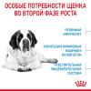Royal Canin Giant Junior  (для щенков крупных пород с 8 до 18/24 месяцев) Royal Canin Giant Junior  (для щенков крупных пород с 8 до 18/24 месяцев)