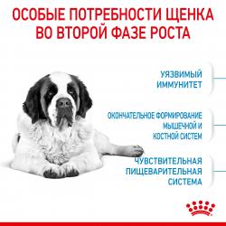 Royal Canin Giant Junior  (для щенков крупных пород с 8 до 18/24 месяцев) Royal Canin Giant Junior  (для щенков крупных пород с 8 до 18/24 месяцев)