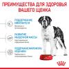 Royal Canin Giant Junior  (для щенков крупных пород с 8 до 18/24 месяцев) Royal Canin Giant Junior  (для щенков крупных пород с 8 до 18/24 месяцев)