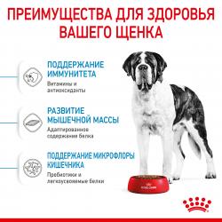 Royal Canin Giant Junior  (для щенков крупных пород с 8 до 18/24 месяцев) Royal Canin Giant Junior  (для щенков крупных пород с 8 до 18/24 месяцев)