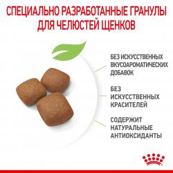 Royal Canin Giant Junior  (для щенков крупных пород с 8 до 18/24 месяцев) Royal Canin Giant Junior  (для щенков крупных пород с 8 до 18/24 месяцев)