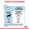 Royal Canin Giant Junior  (для щенков крупных пород с 8 до 18/24 месяцев) Royal Canin Giant Junior  (для щенков крупных пород с 8 до 18/24 месяцев)