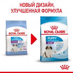 Royal Canin Giant Puppy (для щенков очень крупных пород от 2 до 8 месяцев) Royal Canin Giant Puppy (для щенков очень крупных пород от 2 до 8 месяцев)