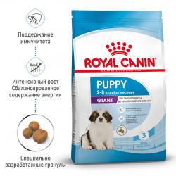 Royal Canin Giant Puppy (для щенков очень крупных пород от 2 до 8 месяцев) Royal Canin Giant Puppy (для щенков очень крупных пород от 2 до 8 месяцев)
