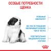 Royal Canin Giant Puppy (для щенков очень крупных пород от 2 до 8 месяцев) Royal Canin Giant Puppy (для щенков очень крупных пород от 2 до 8 месяцев)