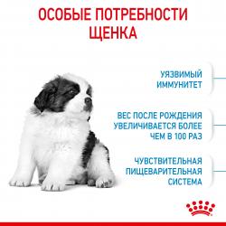 Royal Canin Giant Puppy (для щенков очень крупных пород от 2 до 8 месяцев) Royal Canin Giant Puppy (для щенков очень крупных пород от 2 до 8 месяцев)