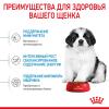 Royal Canin Giant Puppy (для щенков очень крупных пород от 2 до 8 месяцев) Royal Canin Giant Puppy (для щенков очень крупных пород от 2 до 8 месяцев)