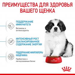 Royal Canin Giant Puppy (для щенков очень крупных пород от 2 до 8 месяцев) Royal Canin Giant Puppy (для щенков очень крупных пород от 2 до 8 месяцев)