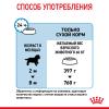Royal Canin Giant Puppy (для щенков очень крупных пород от 2 до 8 месяцев) Royal Canin Giant Puppy (для щенков очень крупных пород от 2 до 8 месяцев)