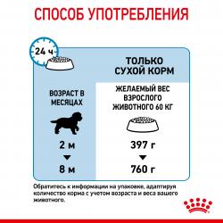Royal Canin Giant Puppy (для щенков очень крупных пород от 2 до 8 месяцев) Royal Canin Giant Puppy (для щенков очень крупных пород от 2 до 8 месяцев)