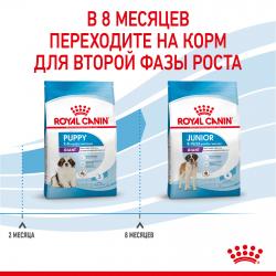 Royal Canin Giant Puppy (для щенков очень крупных пород от 2 до 8 месяцев) Royal Canin Giant Puppy (для щенков очень крупных пород от 2 до 8 месяцев)