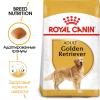 Royal Canin Golden Retriever Adult (для золотистых ретриверов старше 15 месяцев)