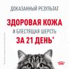 Royal Canin Hair & Skin Care 85г х 28шт (для красоты шерсти, в соусе) Royal Canin Hair & Skin Care 85г х 28шт (для красоты шерсти, в соусе)