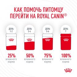 Royal Canin Hair & Skin Care 85г х 28шт (для красоты шерсти, в соусе) Royal Canin Hair & Skin Care 85г х 28шт (для красоты шерсти, в соусе)