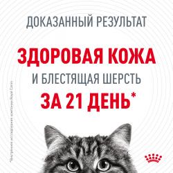 Royal Canin Hair & Skin in Jelly 85г х 28шт (желе для красоты шерсти)   Royal Canin Hair & Skin in Jelly 85г х 28шт (желе для красоты шерсти)