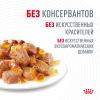 Royal Canin Hair & Skin in Jelly 85г х 28шт (желе для красоты шерсти)   Royal Canin Hair & Skin in Jelly 85г х 28шт (желе для красоты шерсти)