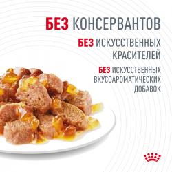 Royal Canin Hair & Skin in Jelly 85г х 28шт (желе для красоты шерсти)   Royal Canin Hair & Skin in Jelly 85г х 28шт (желе для красоты шерсти)