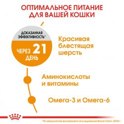 Royal Canin Hair & Skin Care (для поддержания здоровья кожи и шерсти)