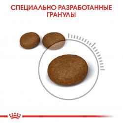 Royal Canin Hair & Skin Care (для поддержания здоровья кожи и шерсти)