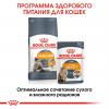 Royal Canin Hair & Skin Care (для поддержания здоровья кожи и шерсти)