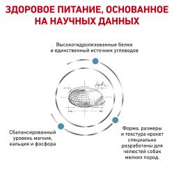 Royal Canin Hypoallergenic Small Dog (для собак мелких пород с пищевой аллергией или непереносимостью)