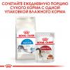 Royal Canin Indoor (для кошек от 1 до 7 лет, живущих в помещении) Royal Canin Indoor (для кошек от 1 до 7 лет, живущих в помещении)