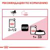 Royal Canin Instinctive 85г х 28шт (желе для кошек старше 1 года)
