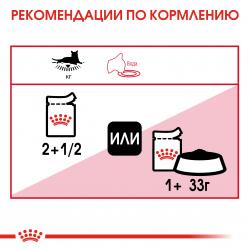 Royal Canin Instinctive 85г х 28шт (желе для кошек старше 1 года)