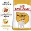 Royal Canin Jack Russell Adult (для Джек Рассел терьера с 10 месяцев) Royal Canin Jack Russell Adult (для Джек Рассел терьера с 10 месяцев)