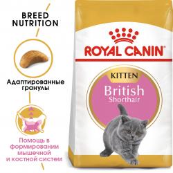 Royal Canin British Shorthair Kitten (для британских короткошерстных котят в возрасте до 12 месяцев)