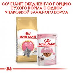 Royal Canin British Shorthair Kitten (для британских короткошерстных котят в возрасте до 12 месяцев)