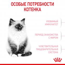 Royal Canin Kitten (для котят в возрасте до 12 месяцев)
