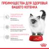 Royal Canin Kitten (для котят в возрасте до 12 месяцев)