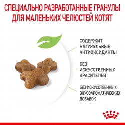 Royal Canin Kitten (для котят в возрасте до 12 месяцев)