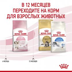 Royal Canin Kitten (для котят в возрасте до 12 месяцев)