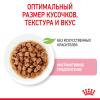 Royal Canin Kitten (соус для котят от 4 до 12 месяцев) 85г х 28шт