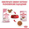 Royal Canin Kitten (соус для котят от 4 до 12 месяцев) 85г х 28шт
