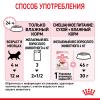 Royal Canin Kitten (соус для котят от 4 до 12 месяцев) 85г х 28шт