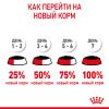 Royal Canin Kitten (соус для котят от 4 до 12 месяцев) 85г х 28шт