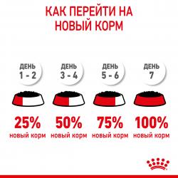 Royal Canin Kitten (соус для котят от 4 до 12 месяцев) 85г х 28шт