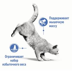 Royal Canin Light Weight Care в соусе (для кошек, склонных к полноте) 85г х 12 шт